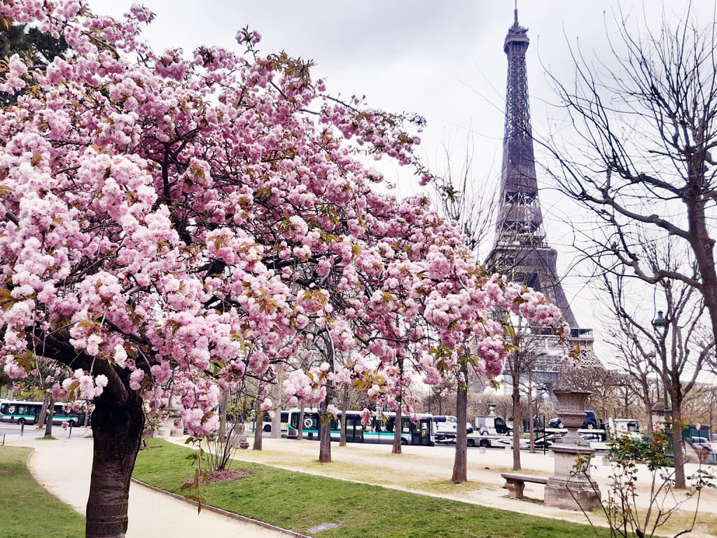 When Is the Best Time to Visit Paris?