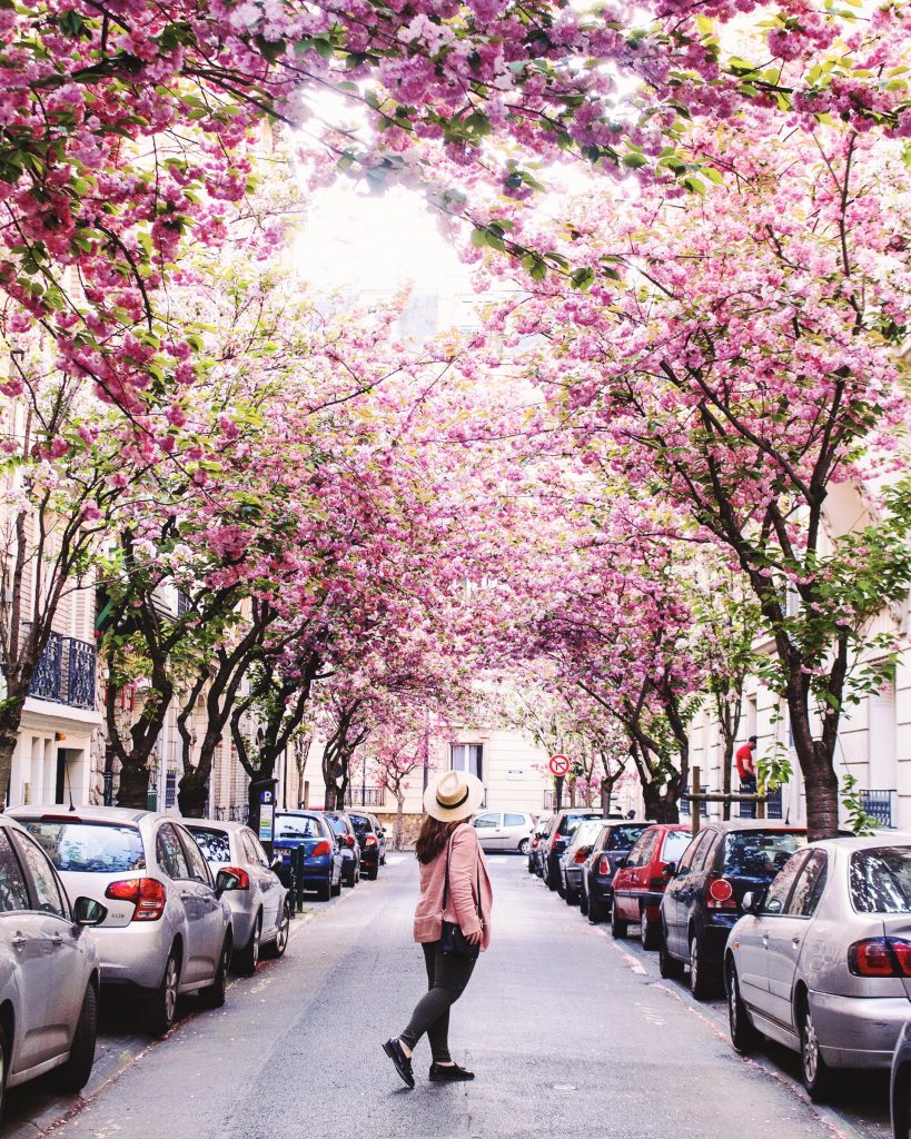 When Is the Best Time to Visit Paris?